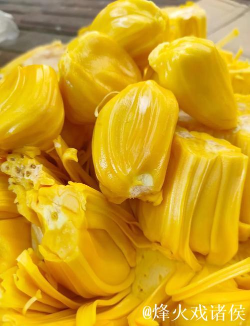 菠萝蜜视频在线播放