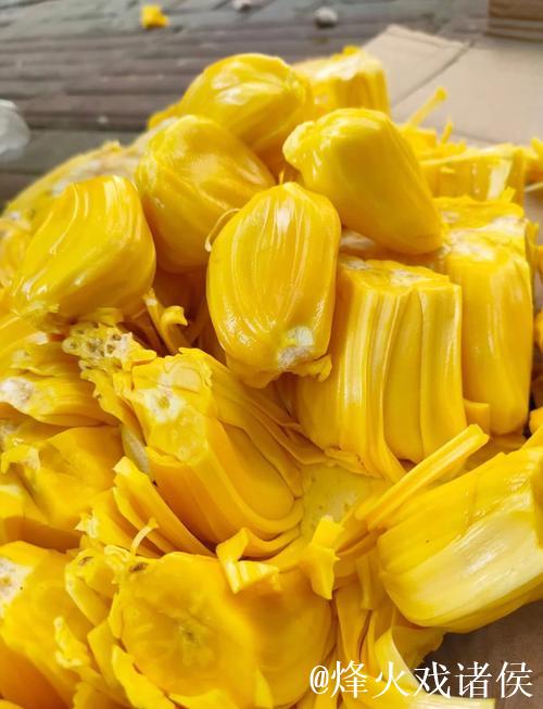 菠萝蜜视频在线播放